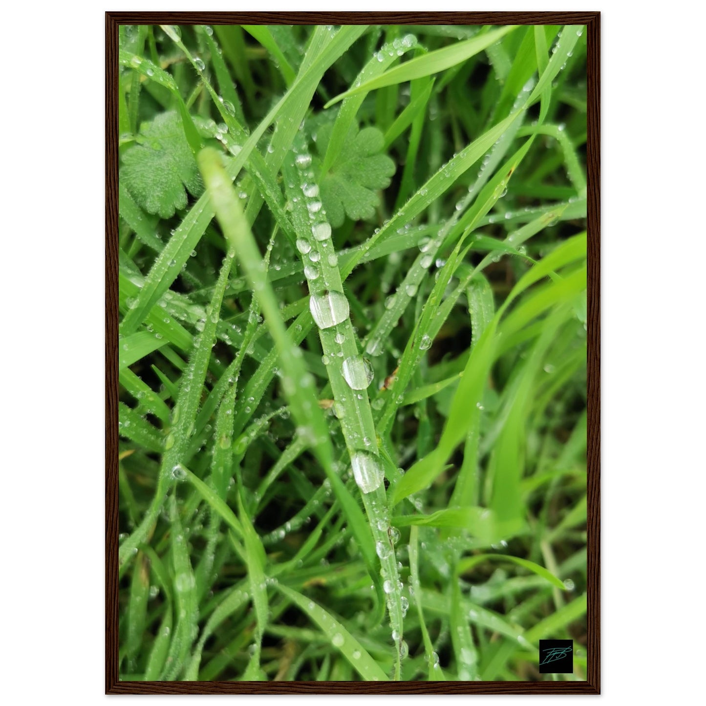 9acb2bdf-be48-43ba-8e65-cc8b5b51937e