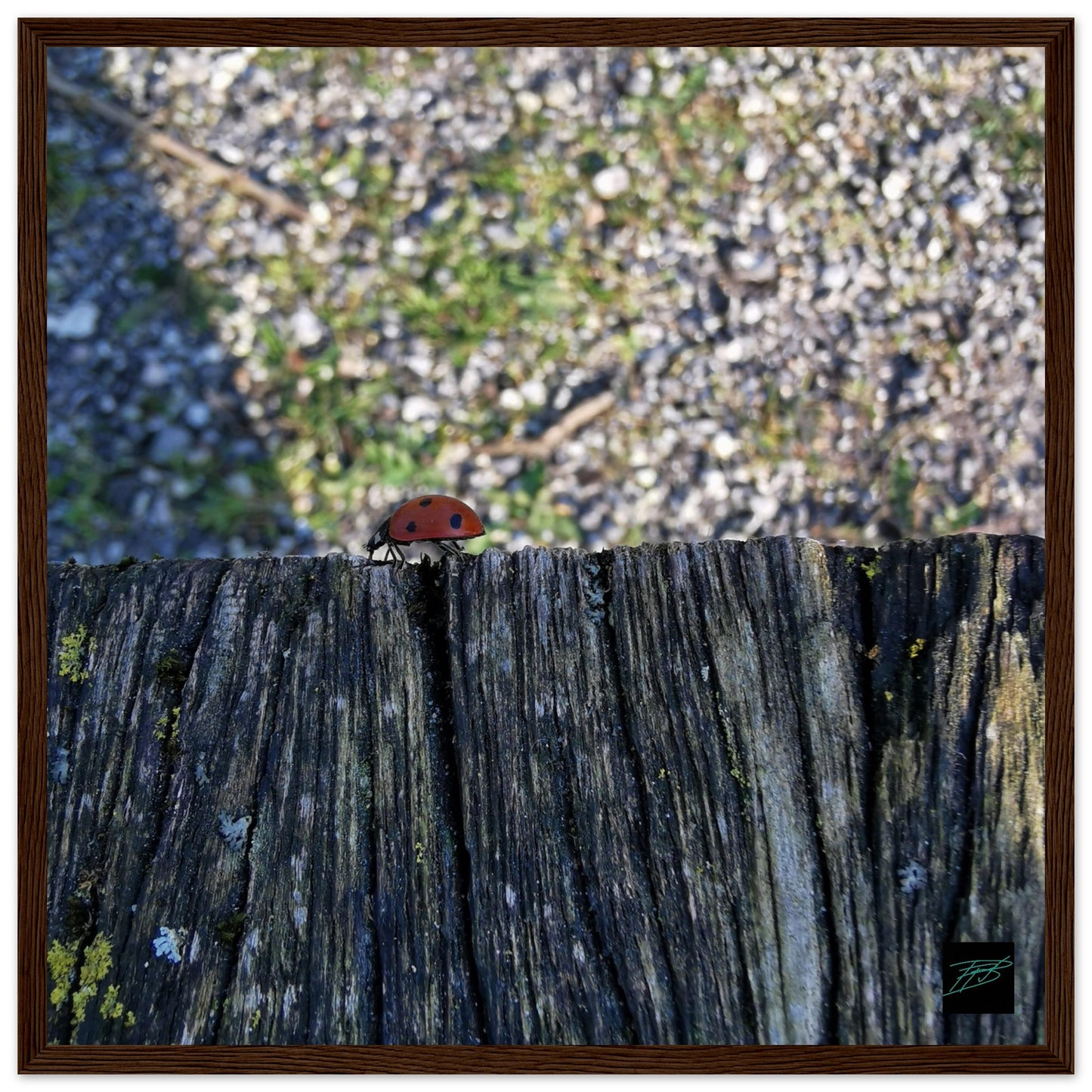 cd973647-2fad-494a-b2c4-08f467d8bc61